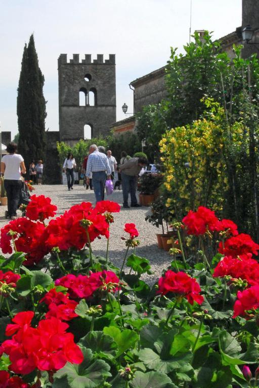 Castellaro  Antica Dimora Dell'Ortolano 아파트 외부 사진